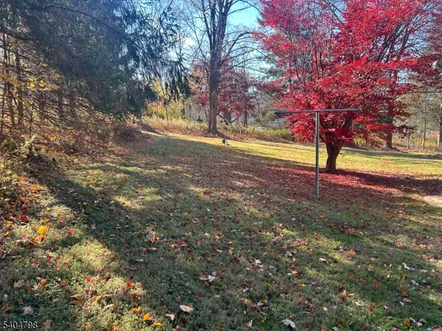 a view of yard with trees
