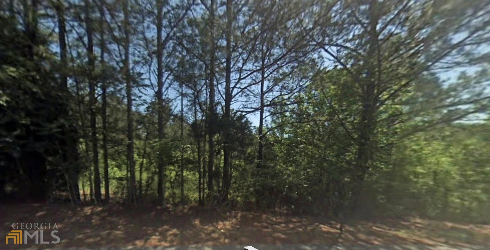 0 Pullen Road Rome, GA 30161 - Photo 1 of 1 a view of a forest with trees in the background