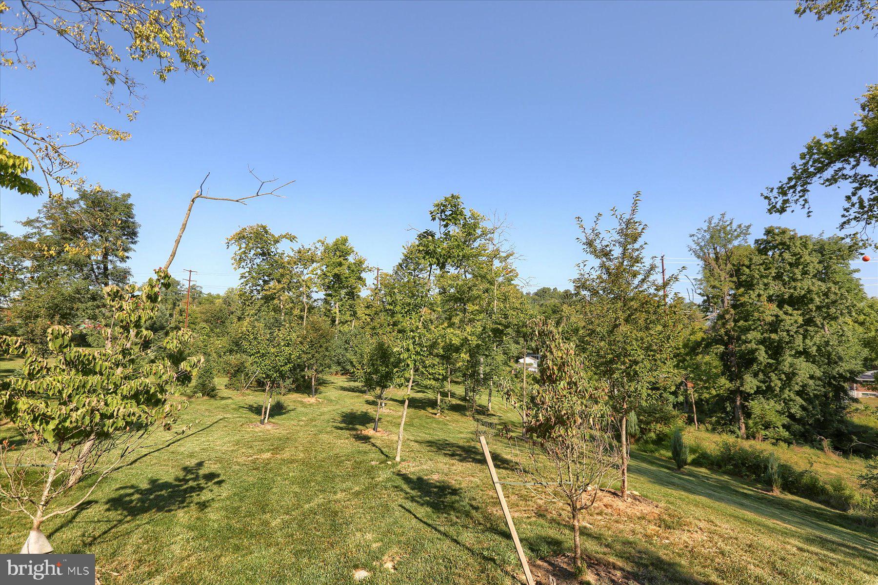 307 Lewisberry Road New Cumberland, PA 17070 - Photo 39 of 46 Gallery Image 39