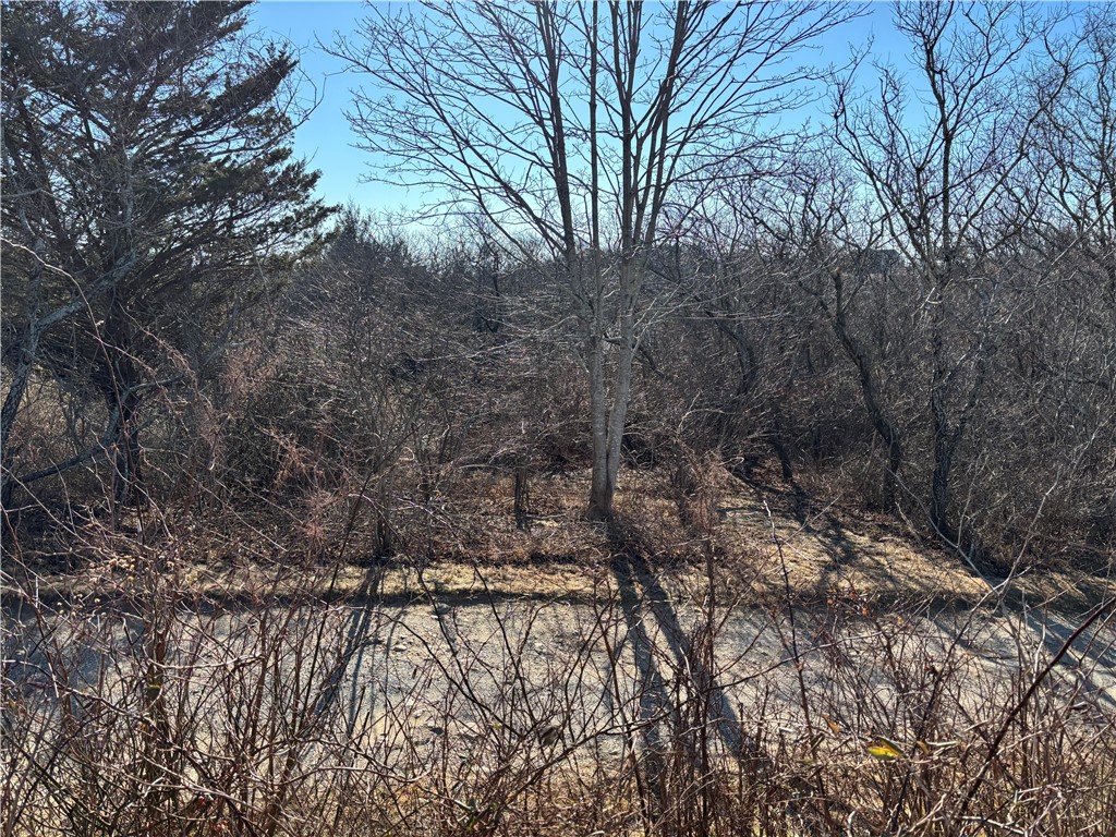 0 West Side Road Block Island, RI 02807 - Photo 7 of 11