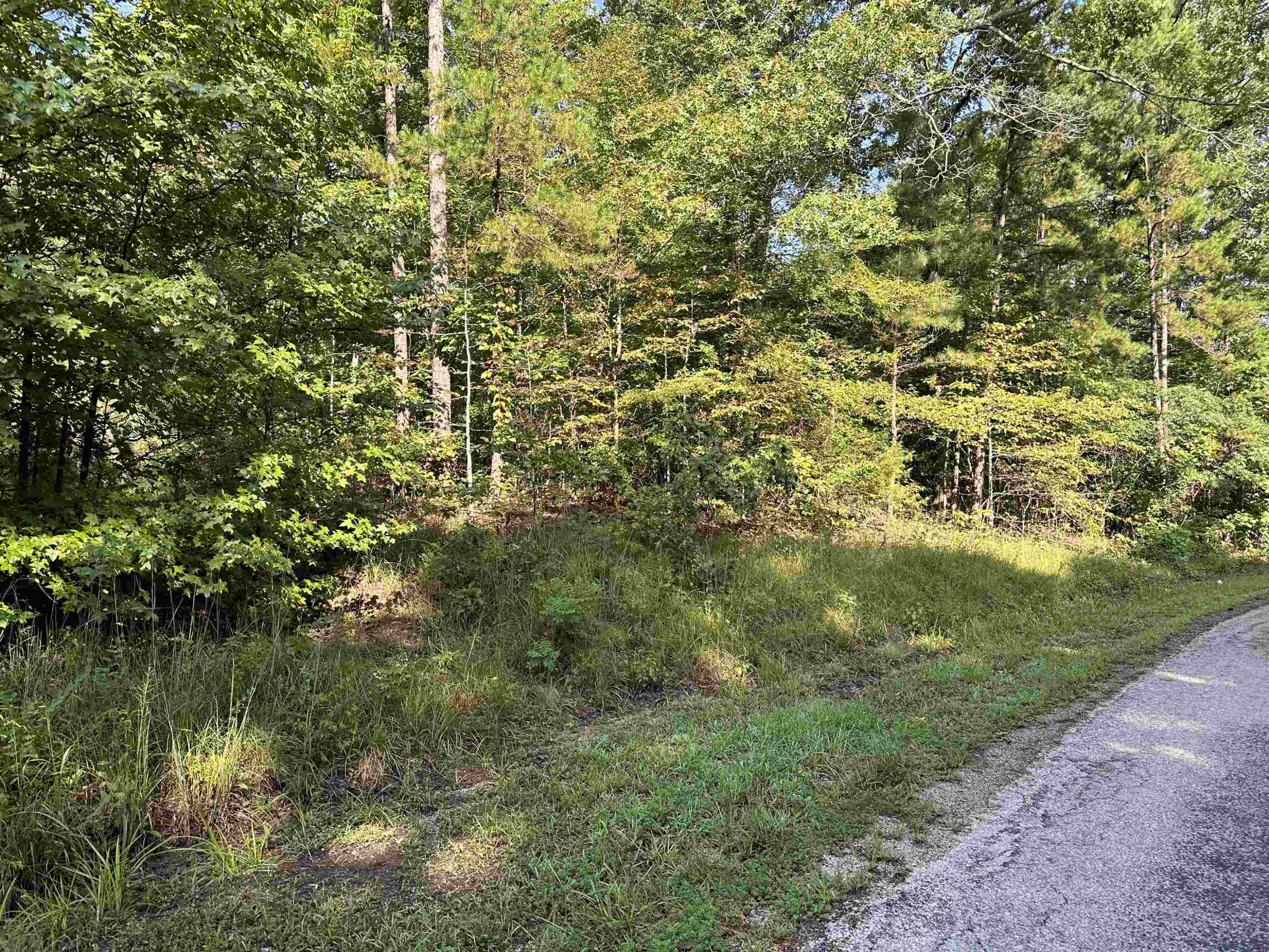 0 Weaver Thomas Road Henderson, TN 38340 - Photo 1 of 25