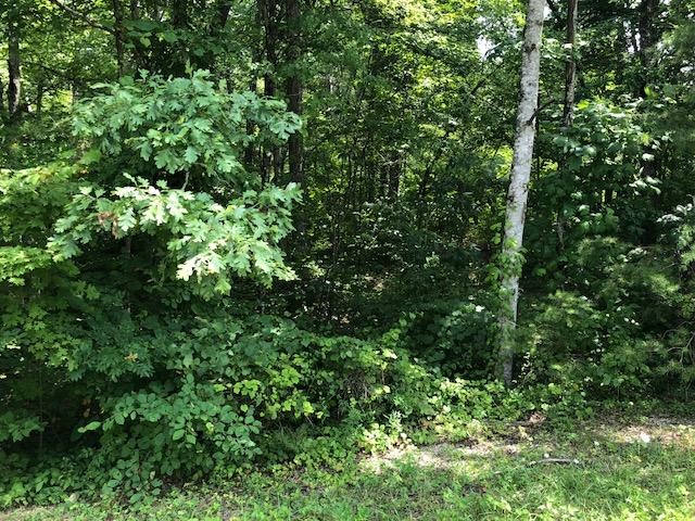 45 Cliff Park Road Monterey, TN 38574 - Photo 19 of 29 Gallery Image 19