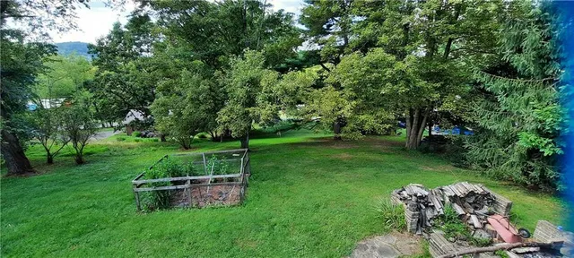 a view of a park with a bench