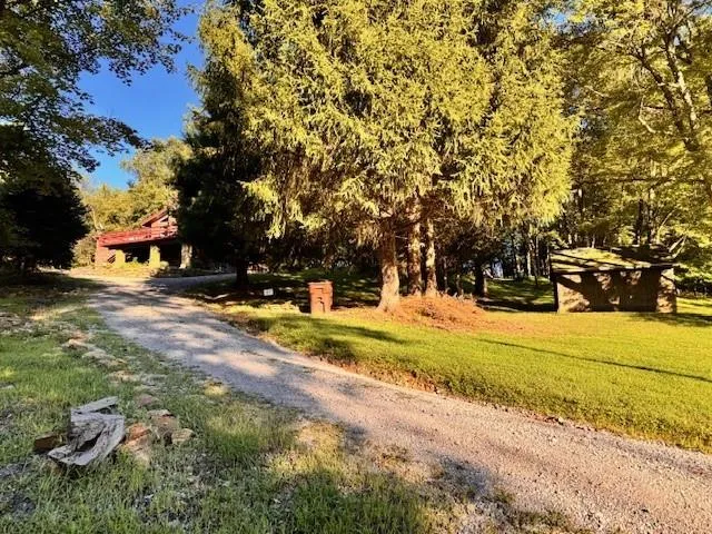 a view of road with large trees
