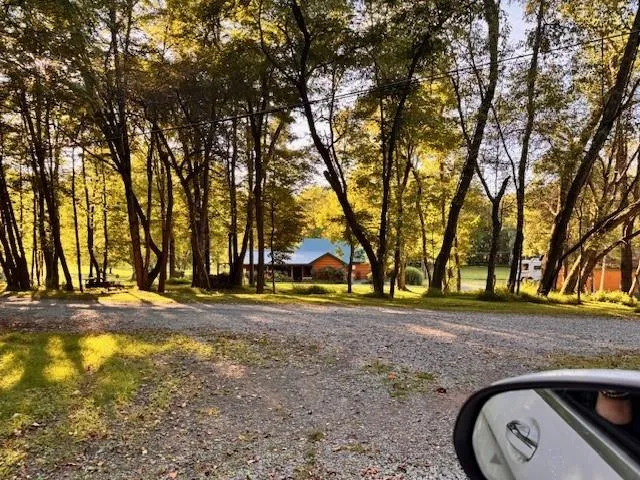 a view of swimming pool and trees