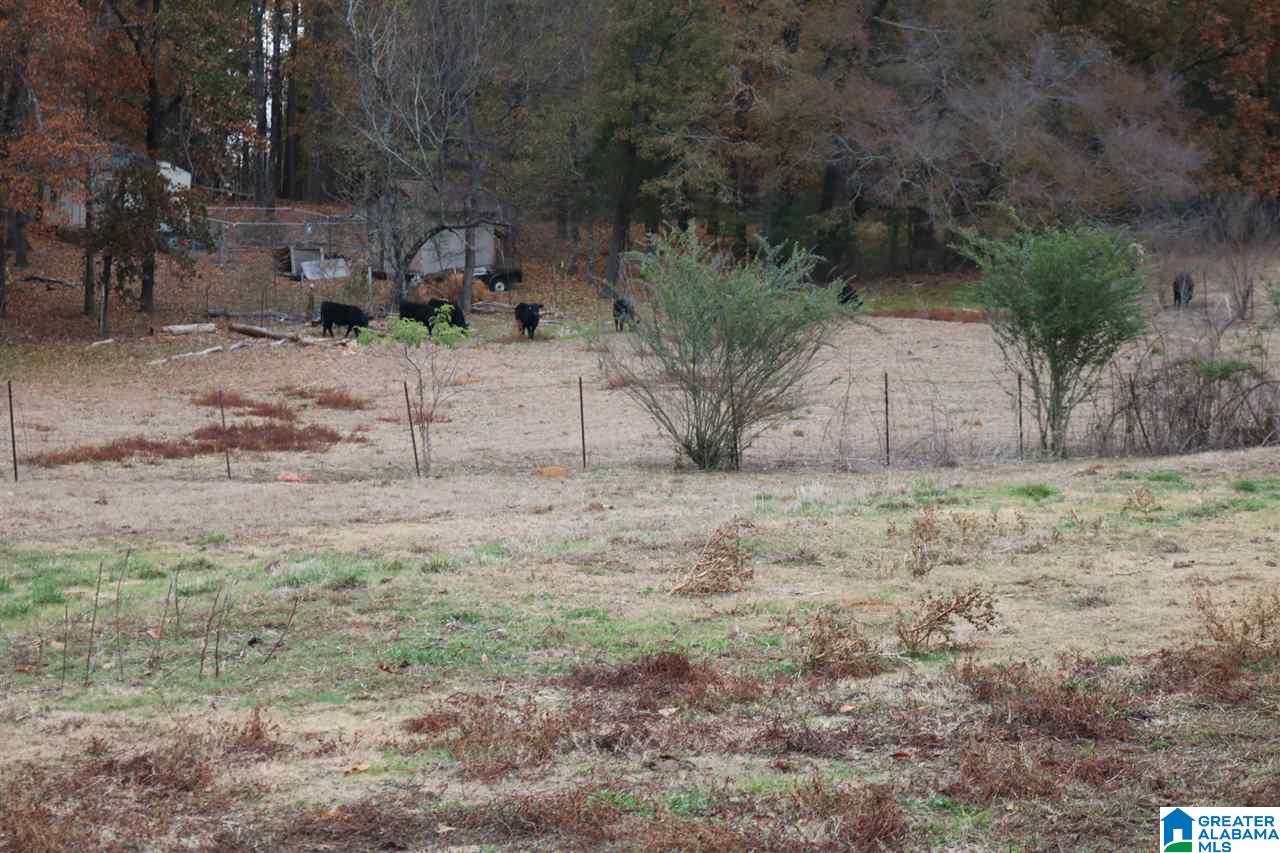 6763 G & H Road Bessemer, AL 35022 - Photo 11 of 21