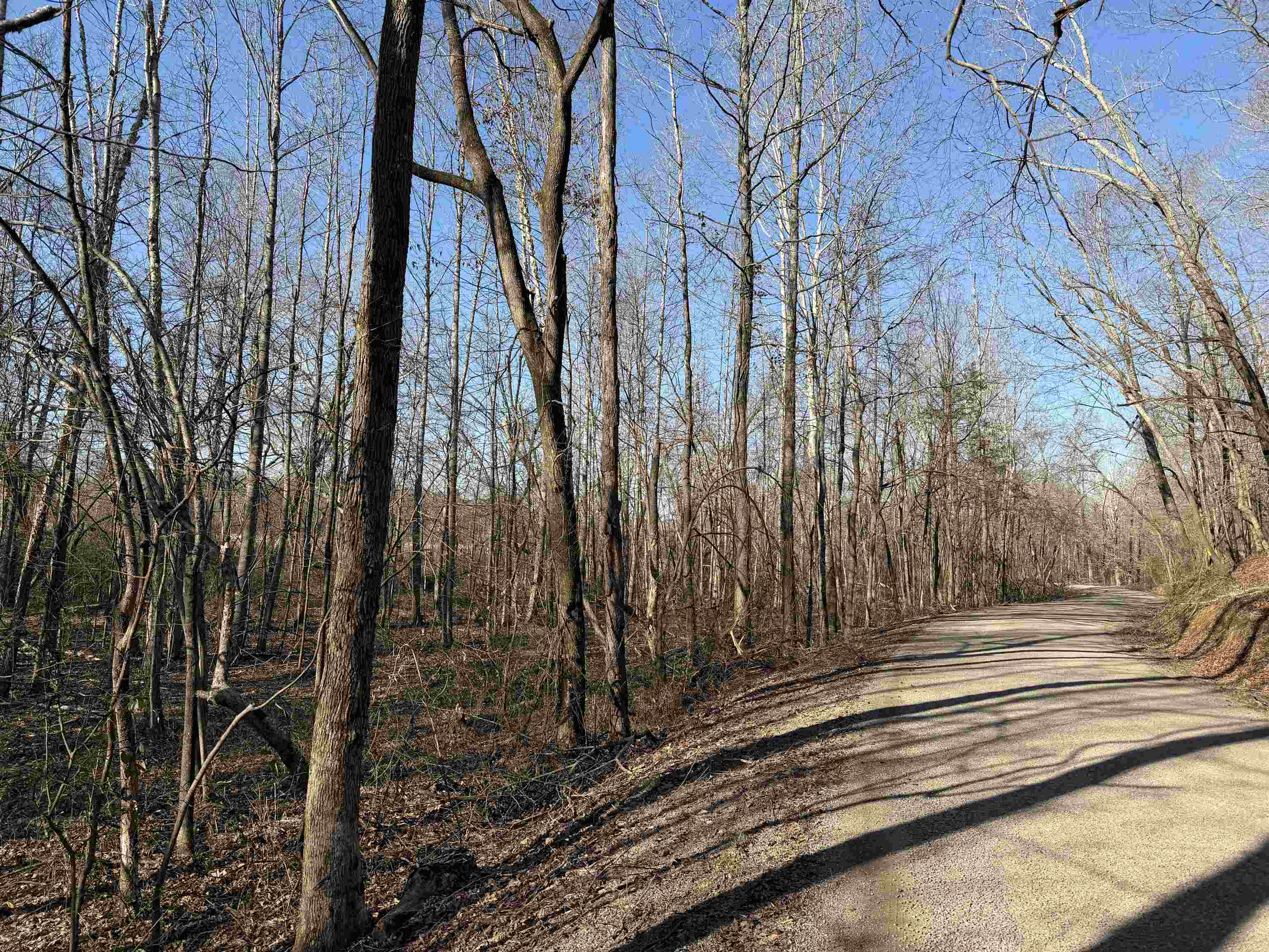 1 Small Road Morris Chapel, TN 38361 - Photo 1 of 24