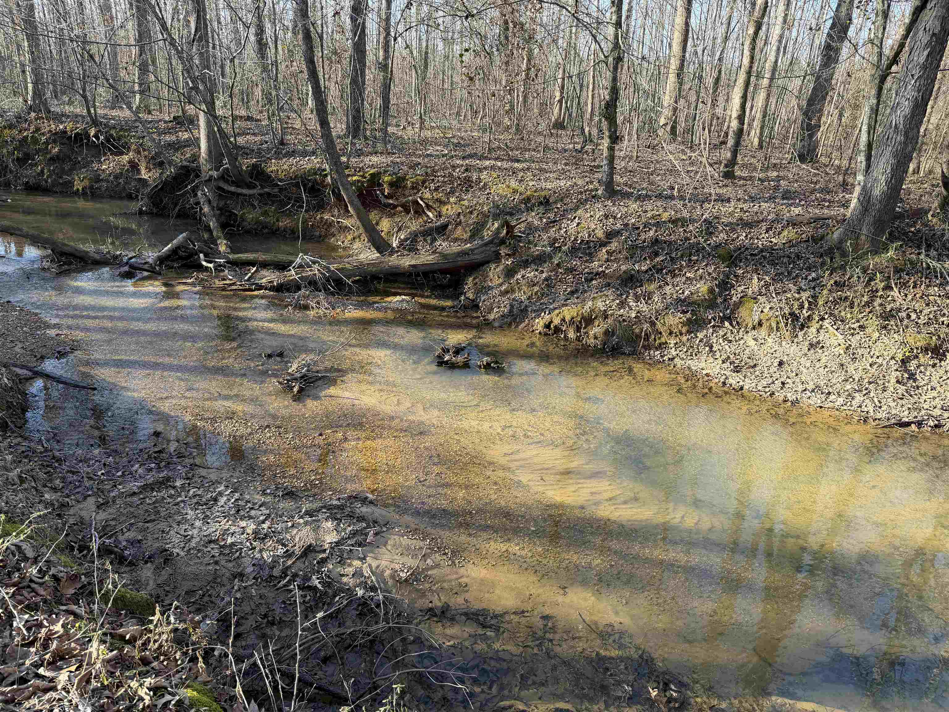 1 Small Road Morris Chapel, TN 38361 - Photo 12 of 24