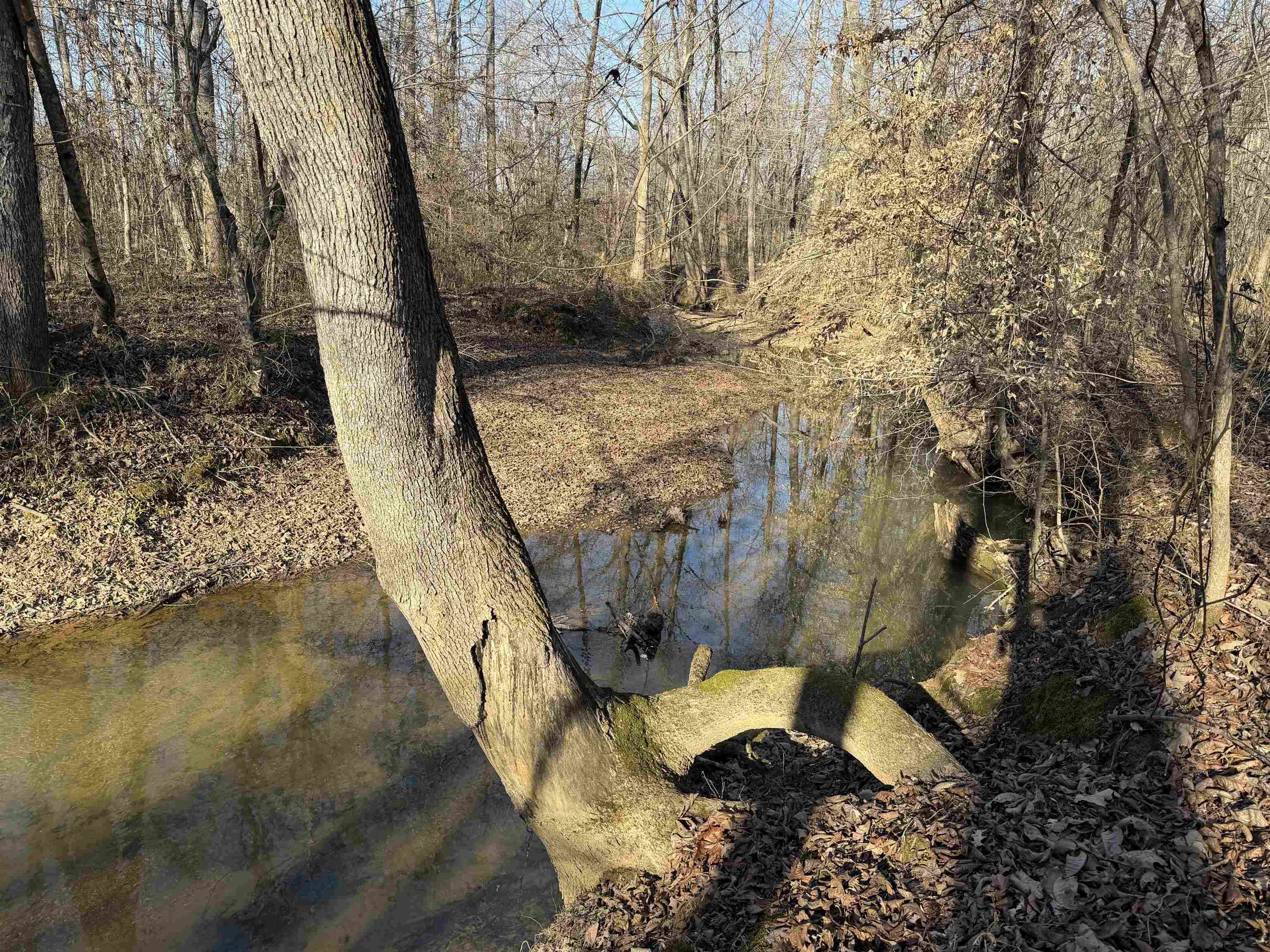 1 Small Road Morris Chapel, TN 38361 - Photo 13 of 24