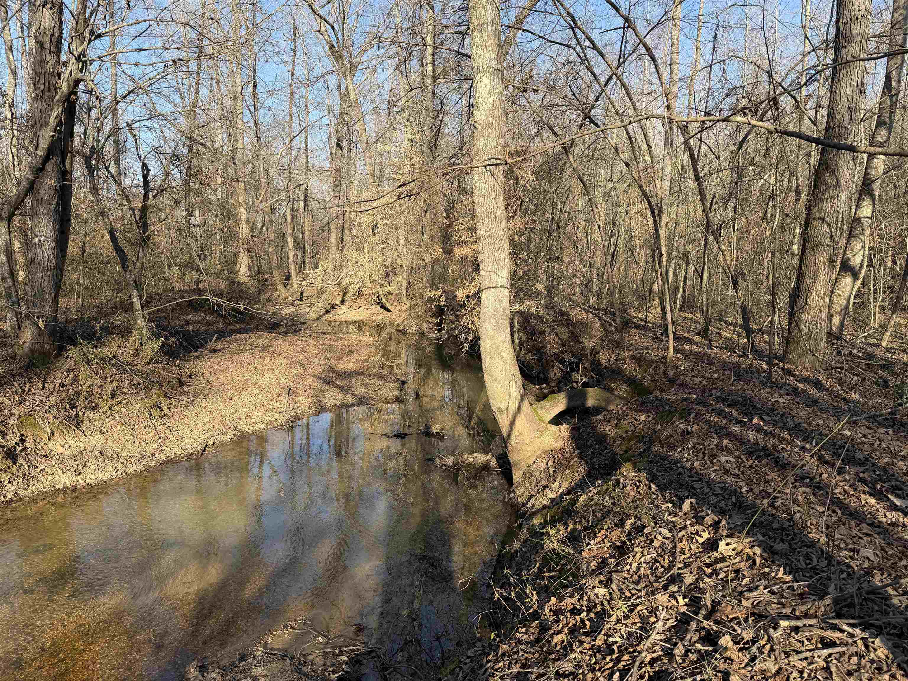 1 Small Road Morris Chapel, TN 38361 - Photo 13 of 24 a view of lake