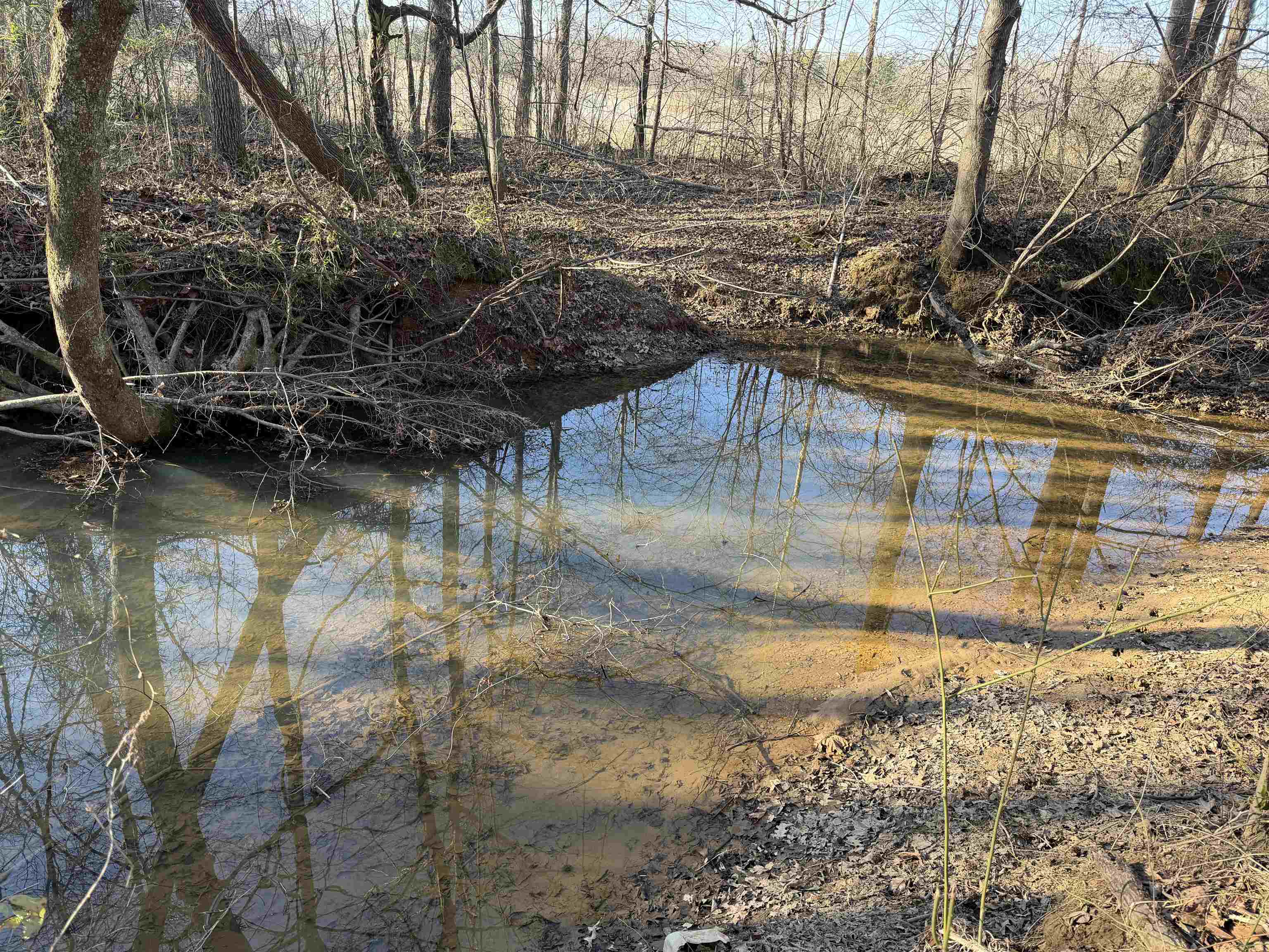 1 Small Road Morris Chapel, TN 38361 - Photo 15 of 24