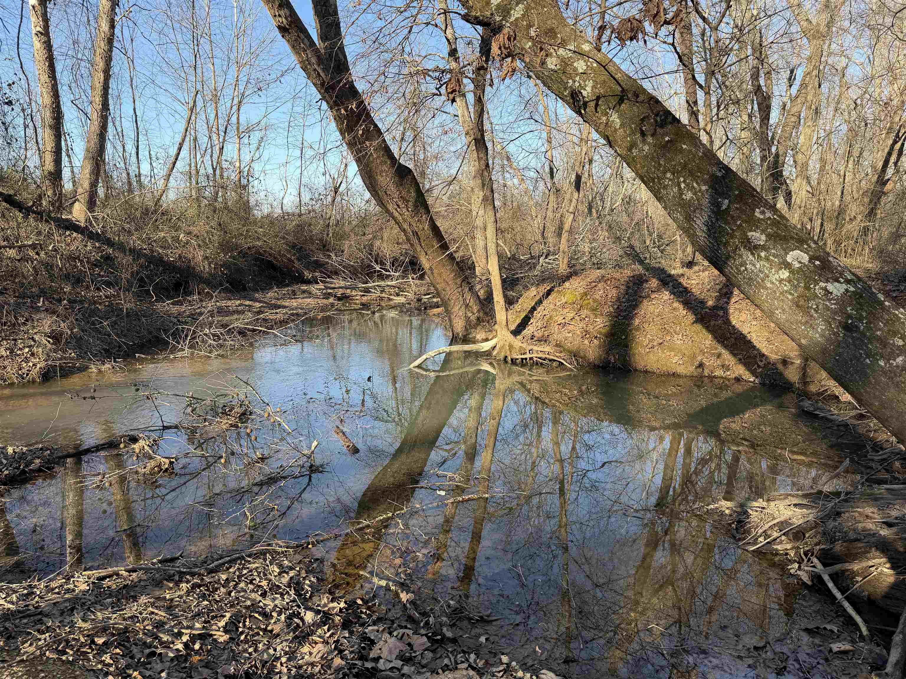 1 Small Road Morris Chapel, TN 38361 - Photo 17 of 24