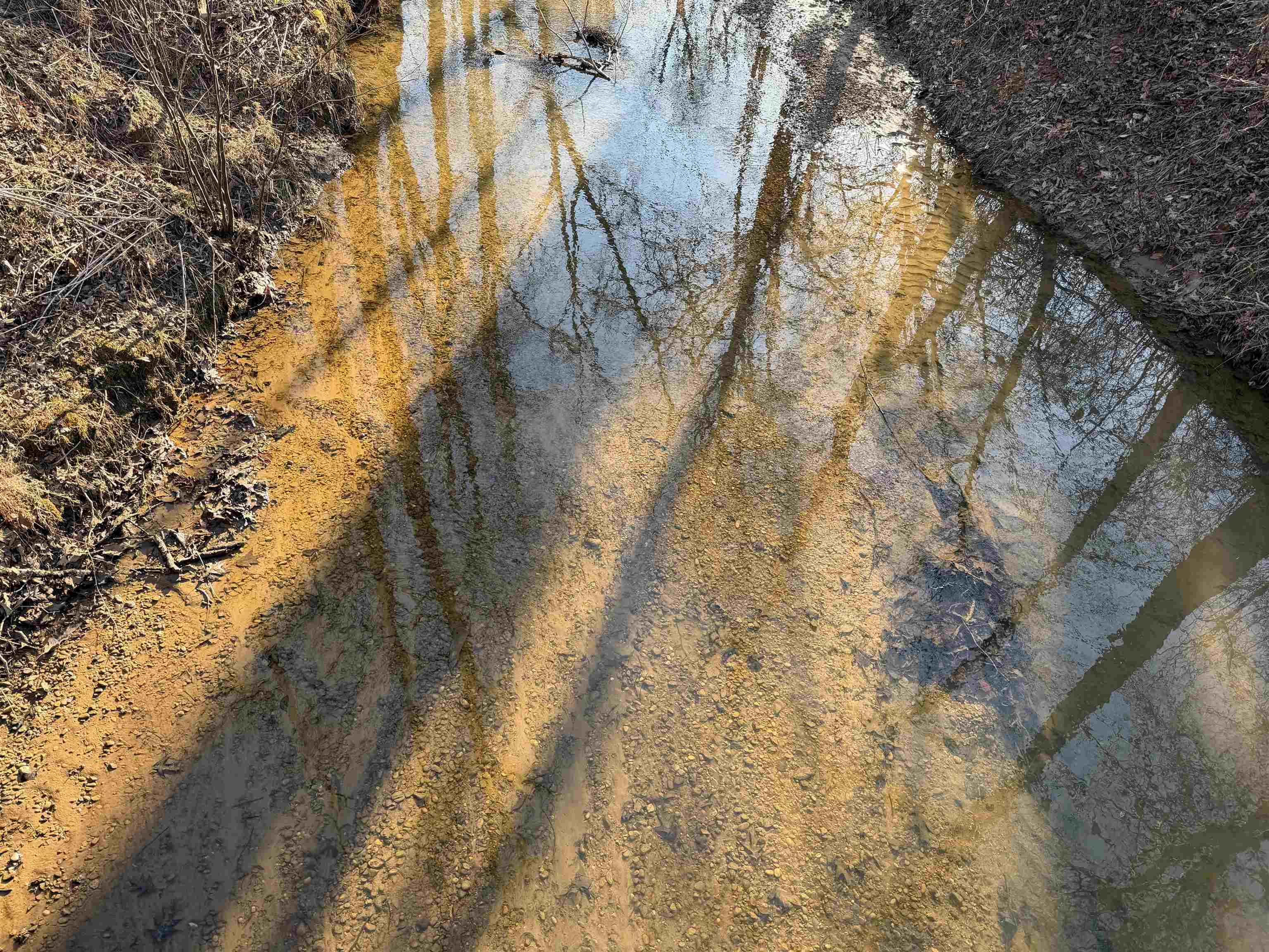 1 Small Road Morris Chapel, TN 38361 - Photo 19 of 24