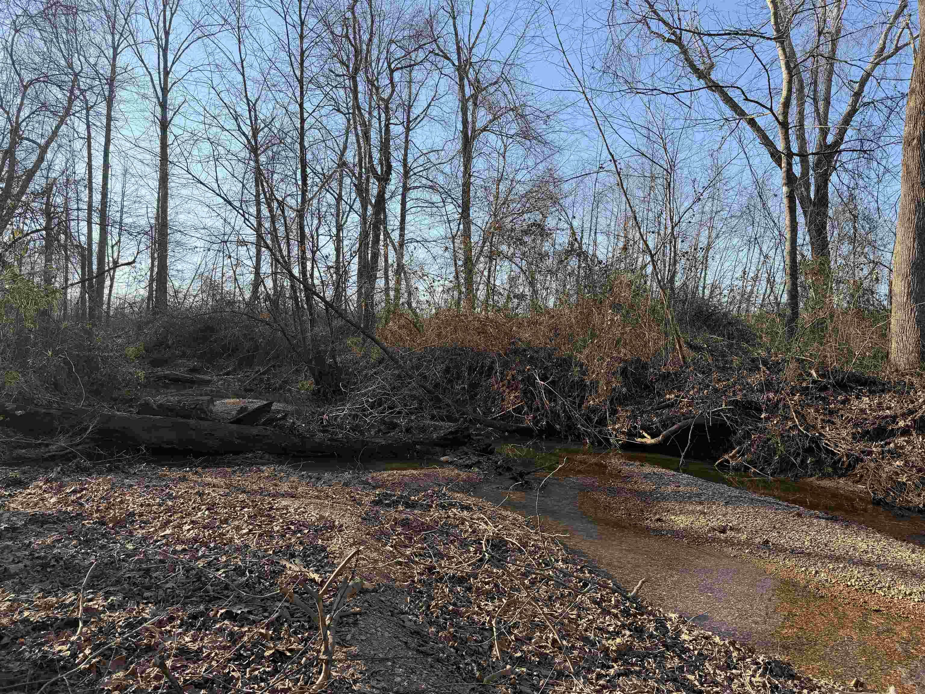 1 Small Road Morris Chapel, TN 38361 - Photo 21 of 24 a view of a yard