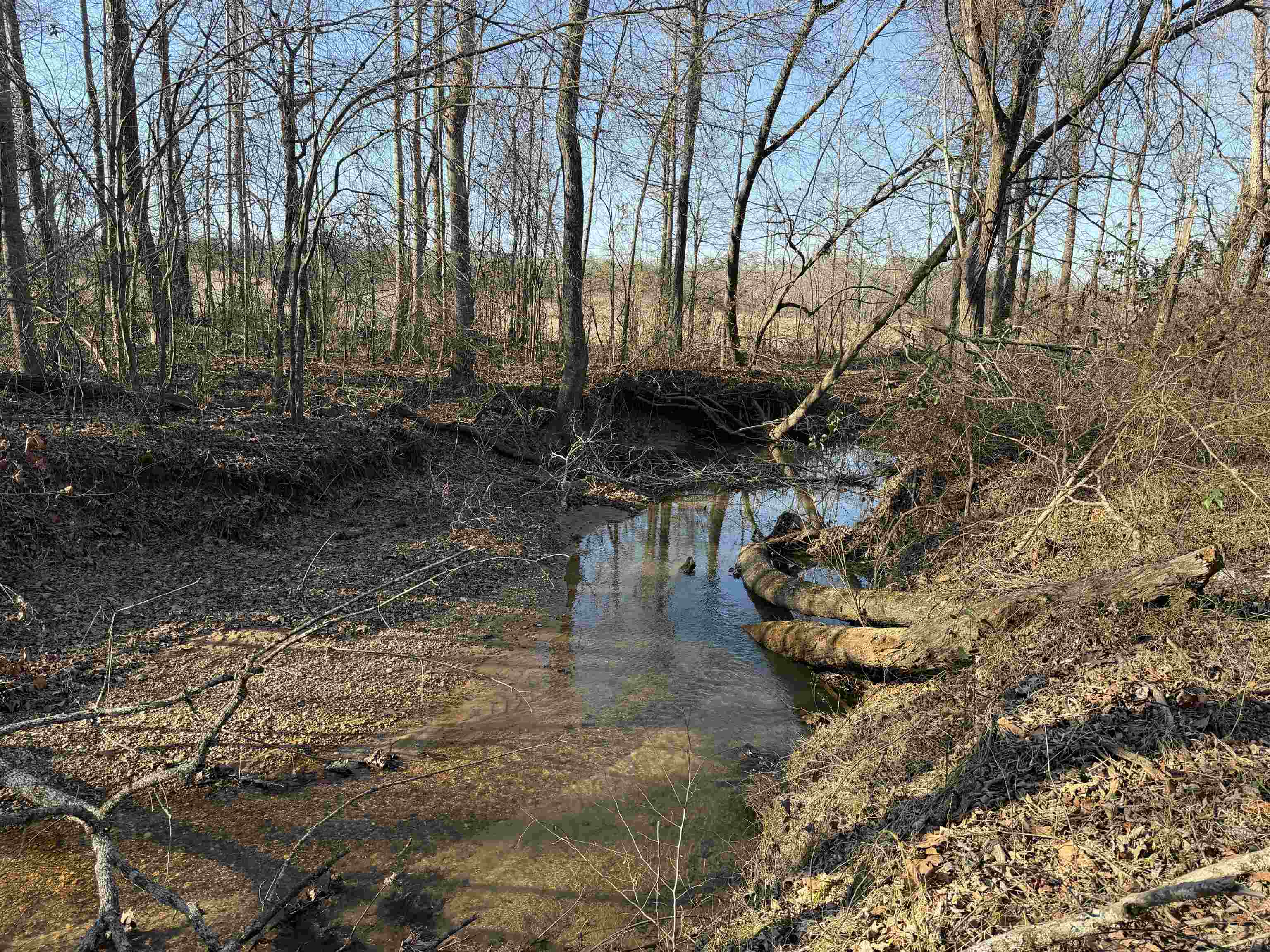 1 Small Road Morris Chapel, TN 38361 - Photo 24 of 24