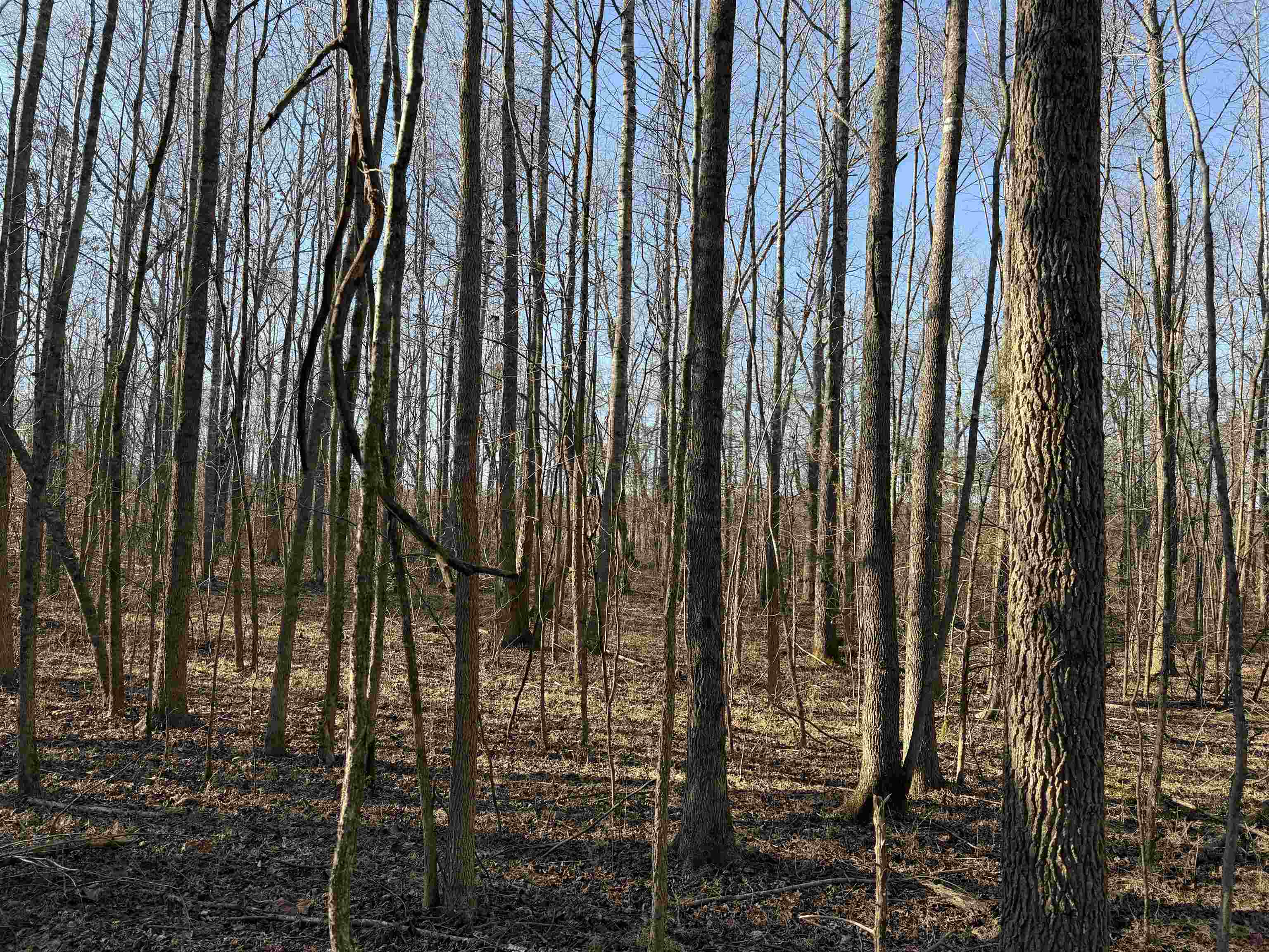 1 Small Road Morris Chapel, TN 38361 - Photo 3 of 24