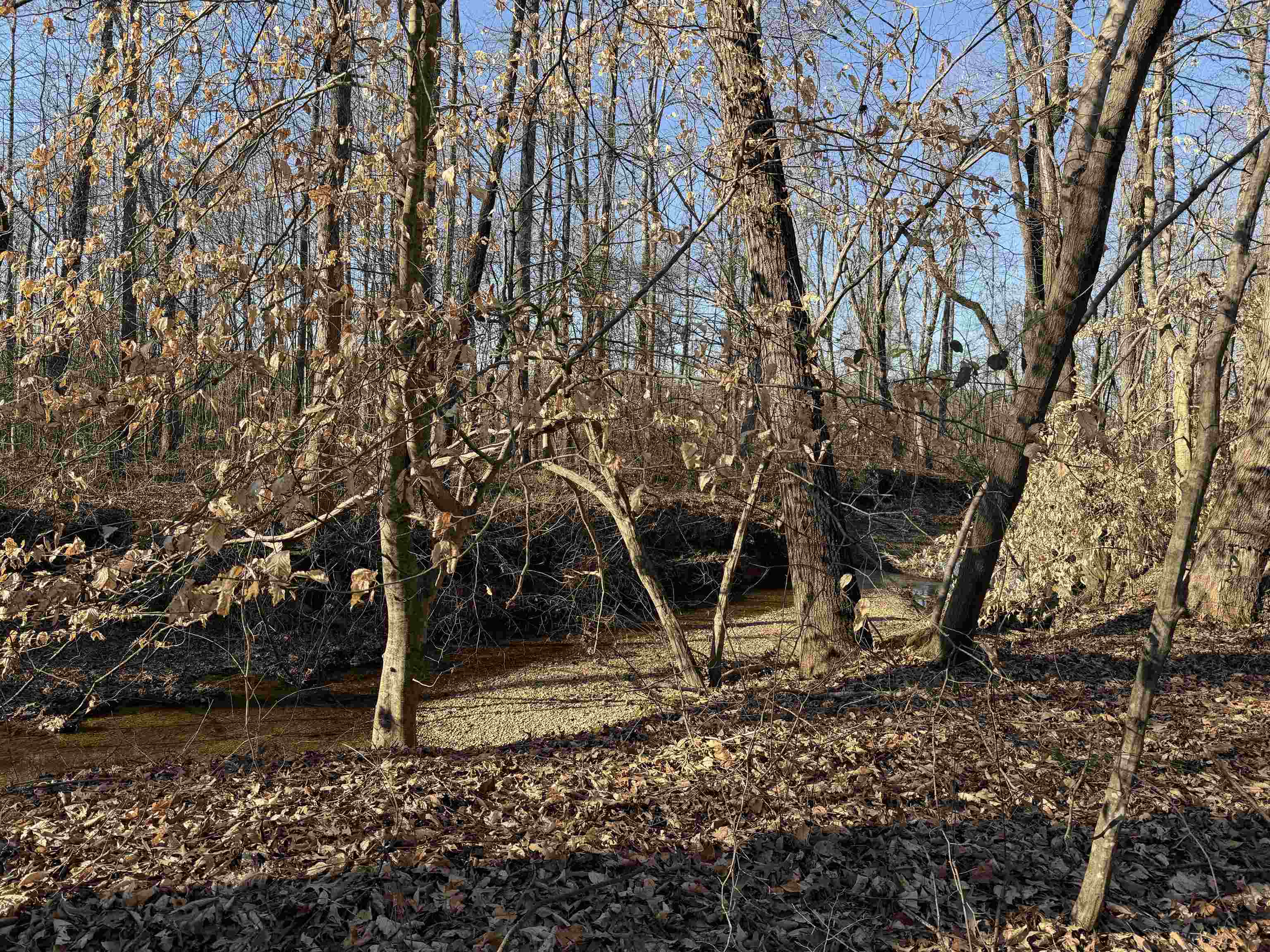 1 Small Road Morris Chapel, TN 38361 - Photo 9 of 24 a backyard of a house with lots of green space