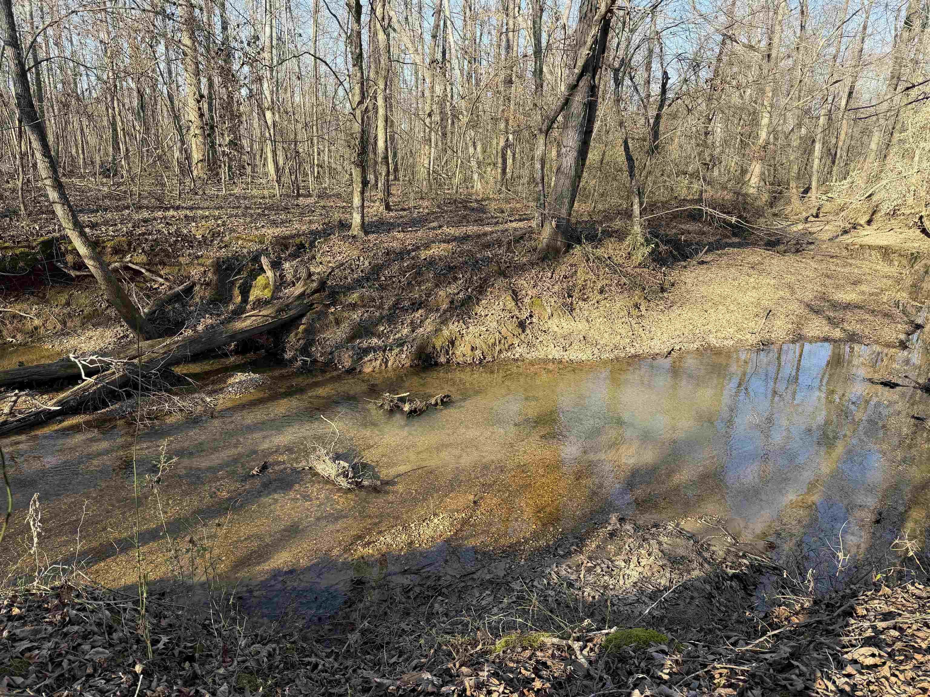 1 Small Road Morris Chapel, TN 38361 - Photo 9 of 24
