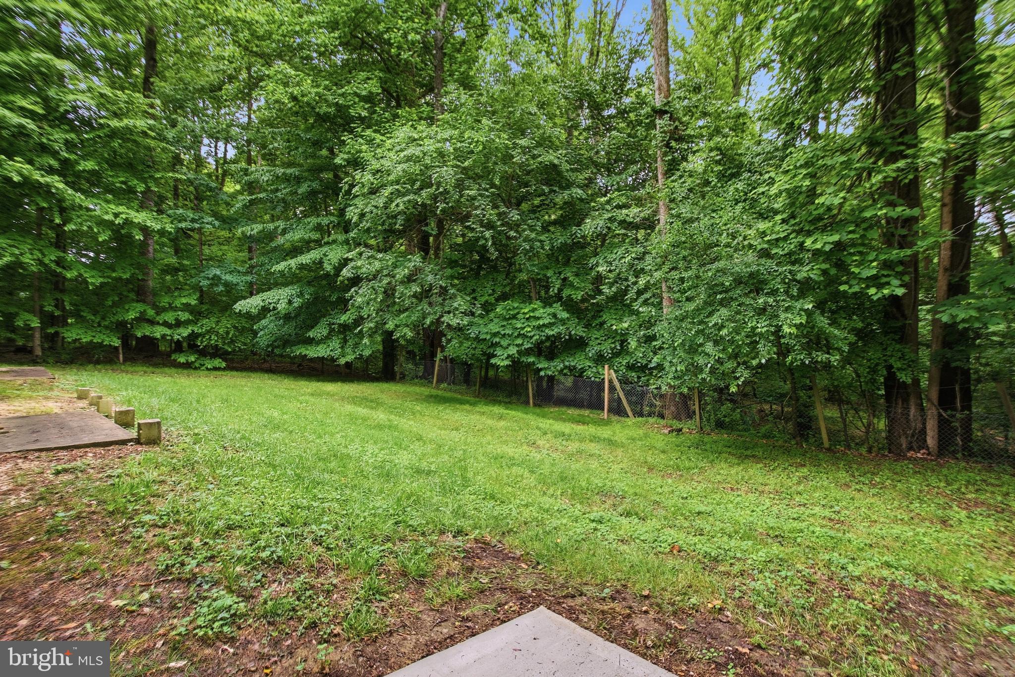 14105 Manchester Road Upper Marlboro, MD 20774 - Photo 43 of 51 backyard