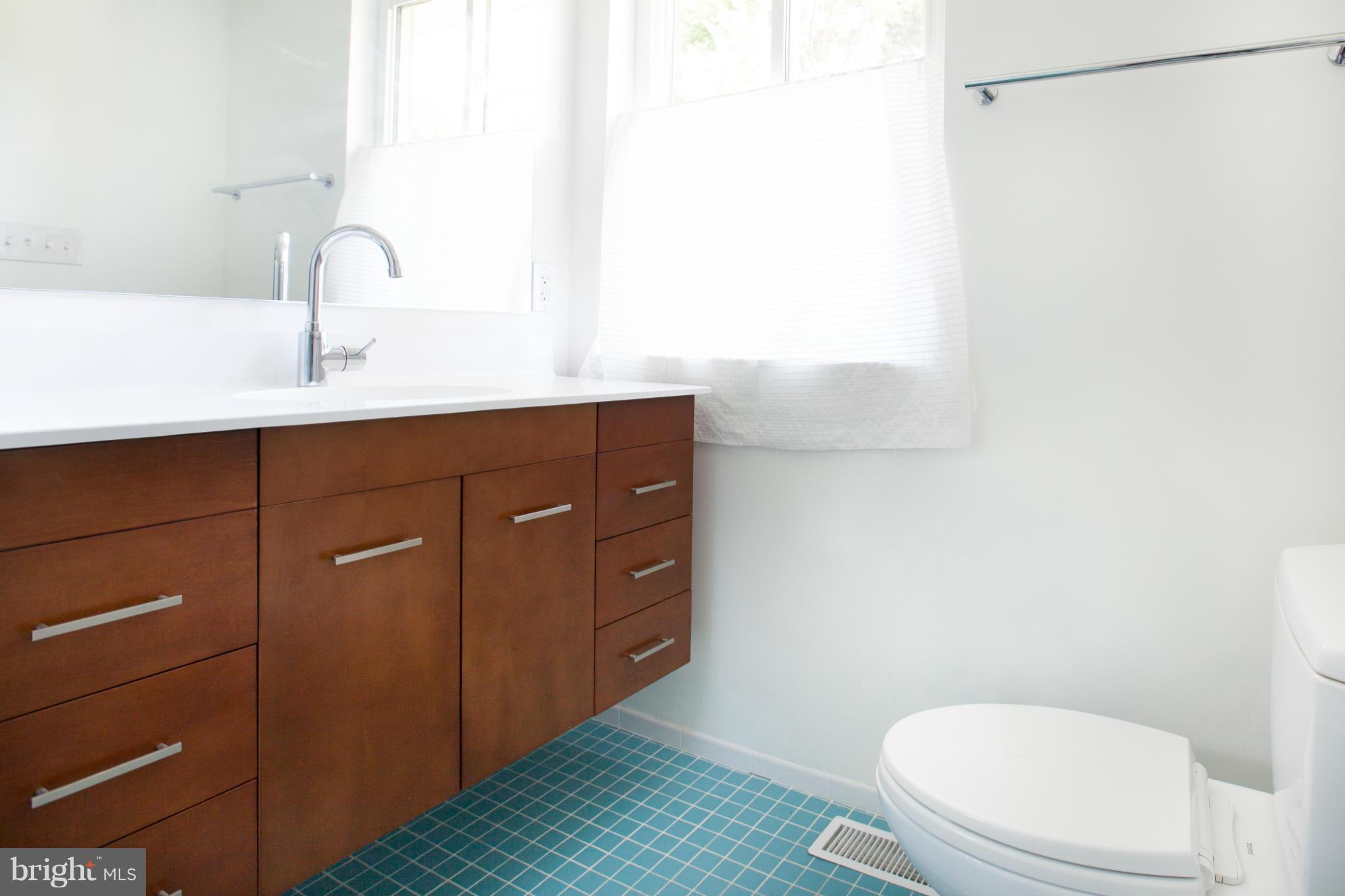 1209 Ballard Street Silver Spring, MD 20910 - Photo 13 of 29 Bath (Master)