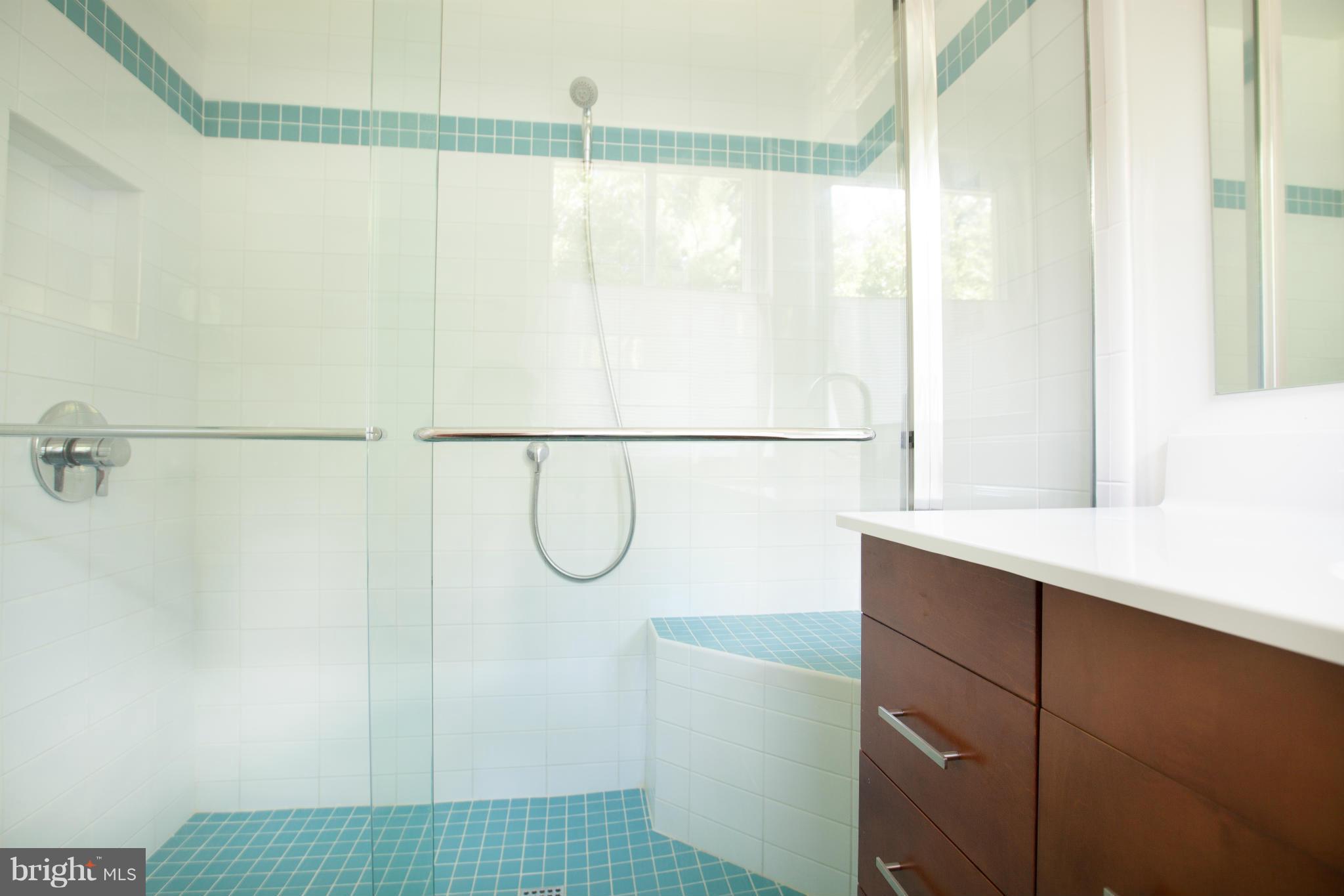 1209 Ballard Street Silver Spring, MD 20910 - Photo 14 of 29 Bath (Master)
