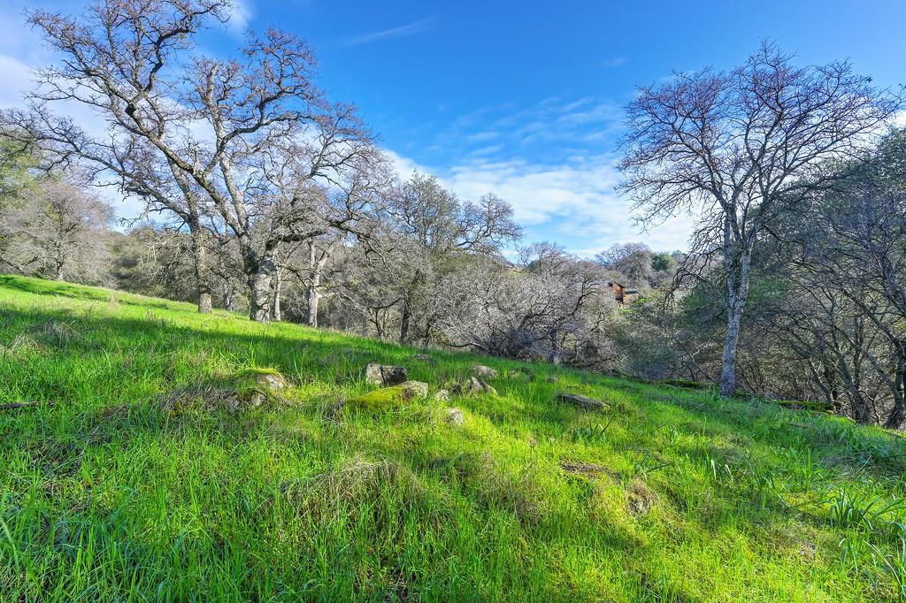 3900 Cold Stream Road Auburn, CA 95602 - Photo 29 of 58 a view of yard with green space