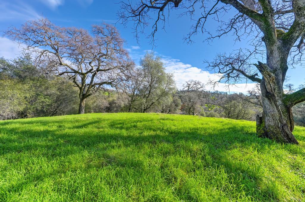 3900 Cold Stream Road Auburn, CA 95602 - Photo 32 of 58 a view of yard with green space
