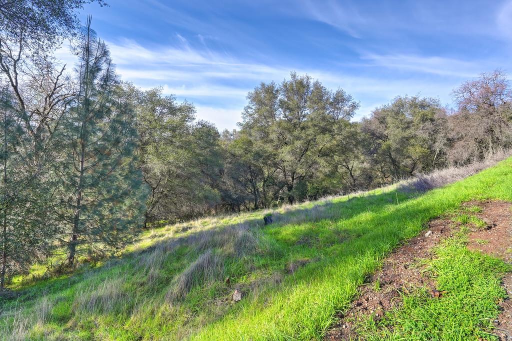 3900 Cold Stream Road Auburn, CA 95602 - Photo 36 of 58