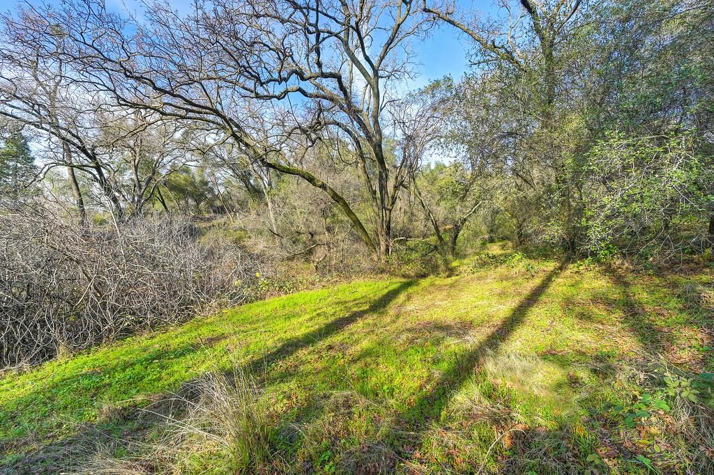 3900 Cold Stream Road Auburn, CA 95602 - Photo 43 of 58