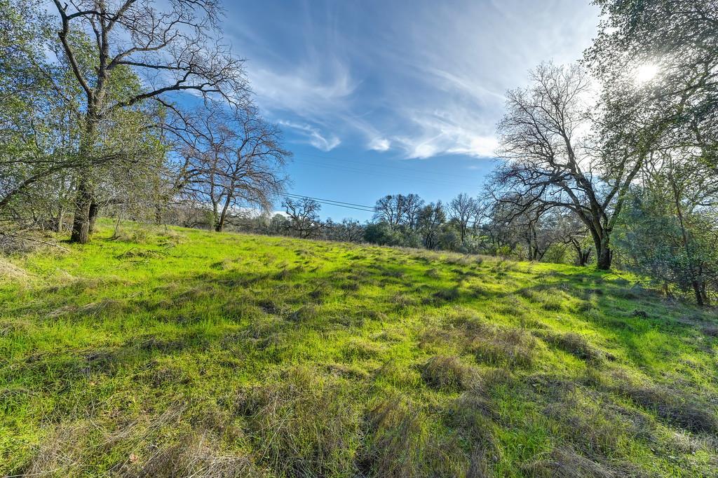 3900 Cold Stream Road Auburn, CA 95602 - Photo 44 of 58 a backyard of a house with lots of green space and fountain