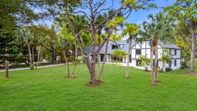 a view of a playground with a tree