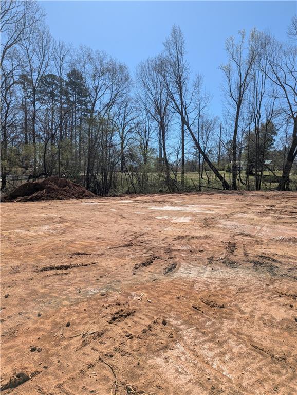 6145 Grindle Road Cumming, GA 30041 - Photo 3 of 20 a street view covered with snow