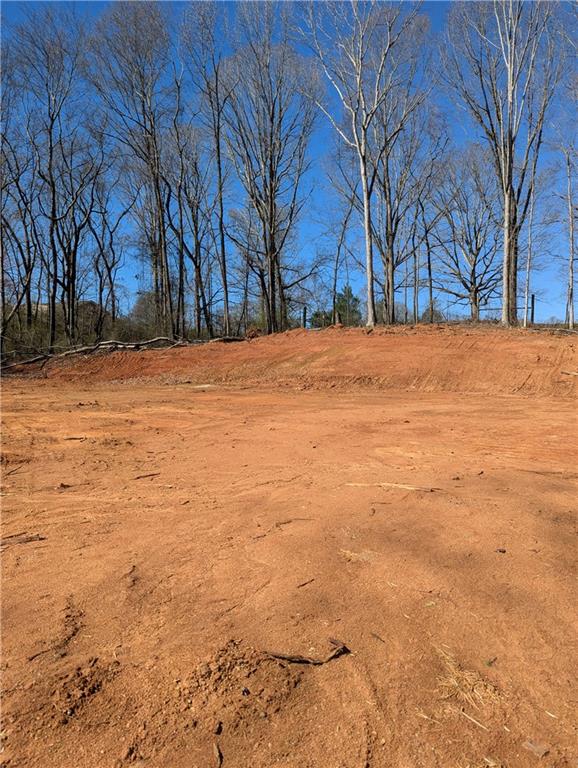 6145 Grindle Road Cumming, GA 30041 - Photo 4 of 20 a view of empty space with large trees