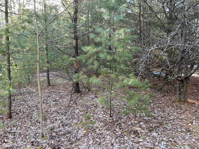 0 Burnt Hill Road Cadyville, NY 12918 - Photo 4 of 5