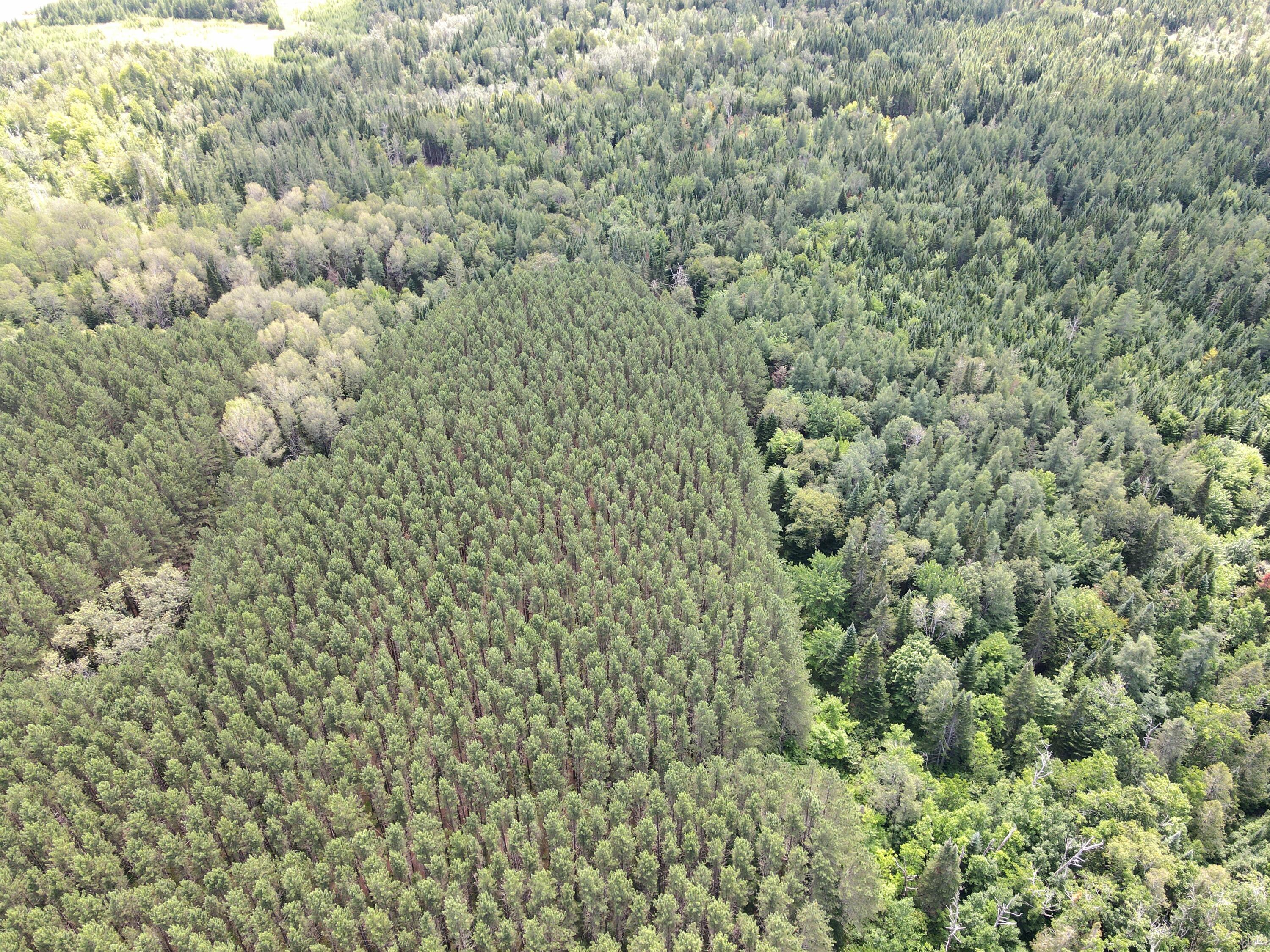 Lot 55-56 West Gate Road Caribou, ME 04736 - Photo 8 of 8 dji_fly_20230802_132948_985_169099918741