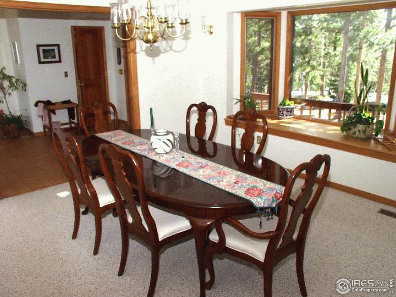 381 Porter Ranch Road Nederland, CO 80466 - Photo 3 of 11 Gallery Image 3