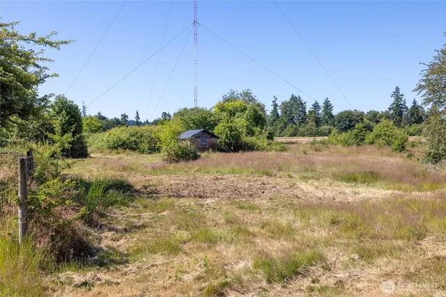 a view of a dry yard with trees