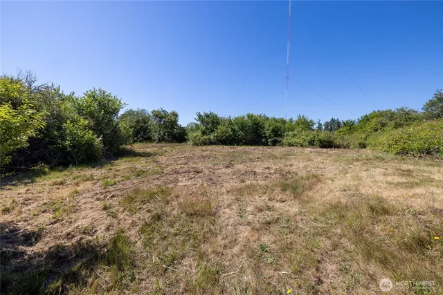 a view of a field with a tree in the background