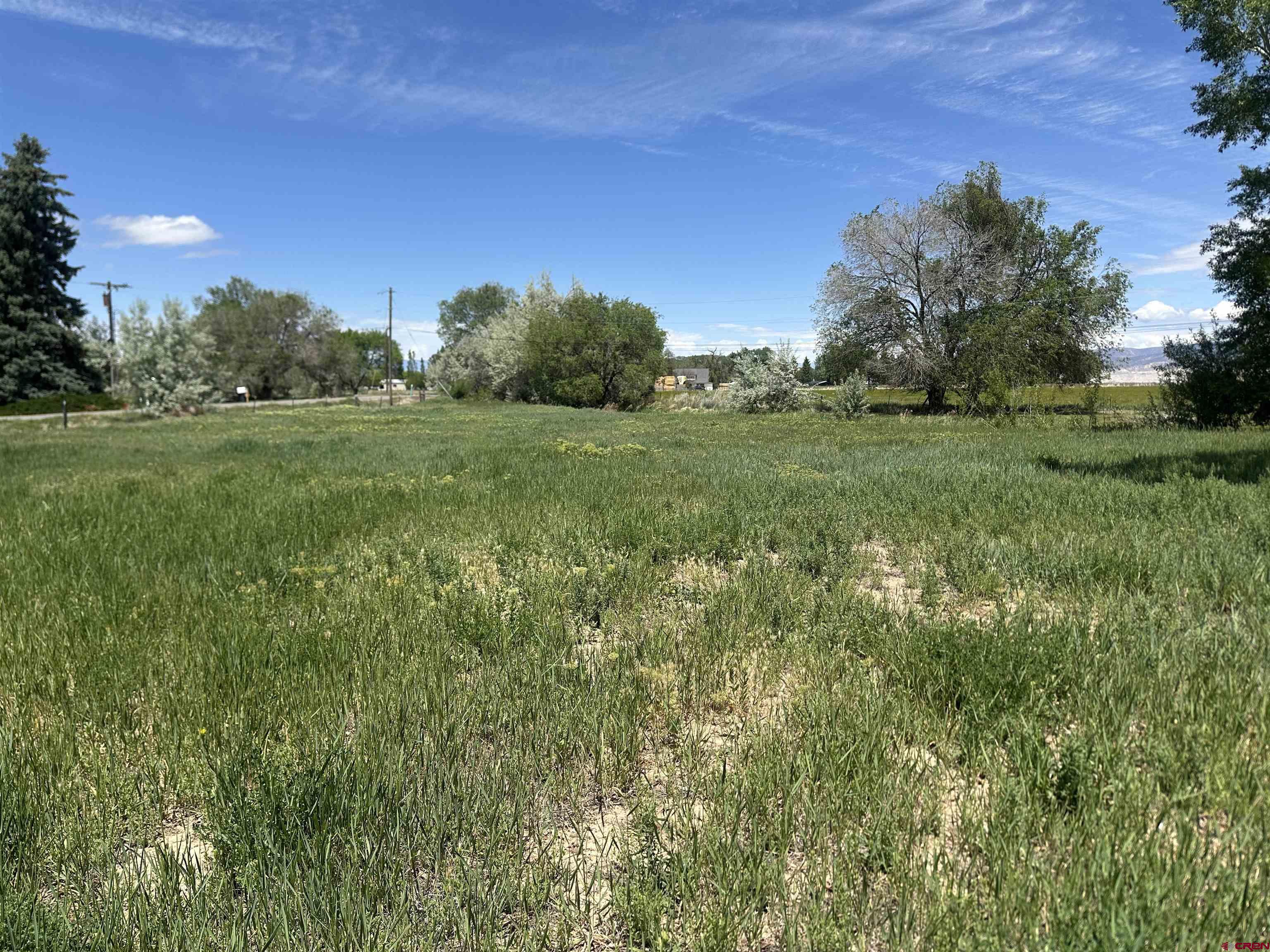 16674 6300 Road Montrose, CO 81403 - Photo 25 of 29