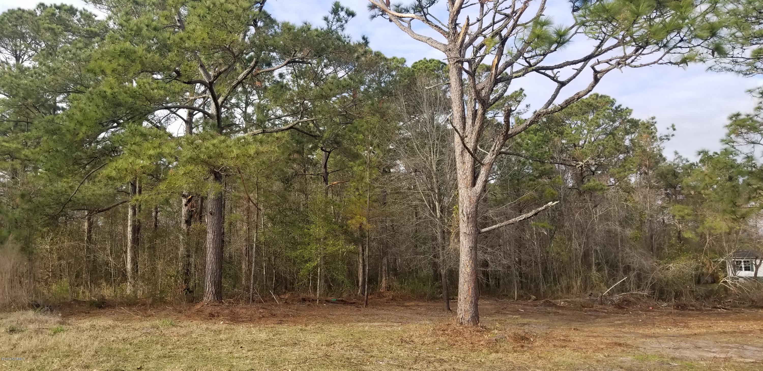 2 Colbert Lane Hampstead, NC 28443 - Photo 1 of 4 20190305_162901