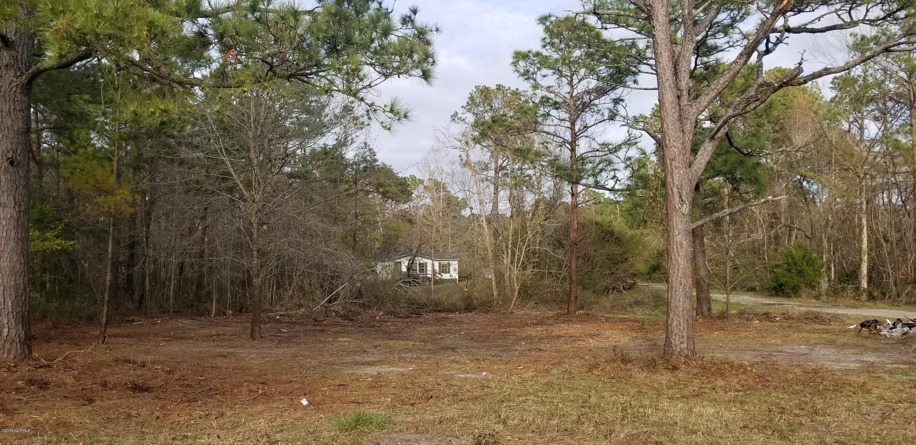 2 Colbert Lane Hampstead, NC 28443 - Photo 2 of 4 20190305_162919