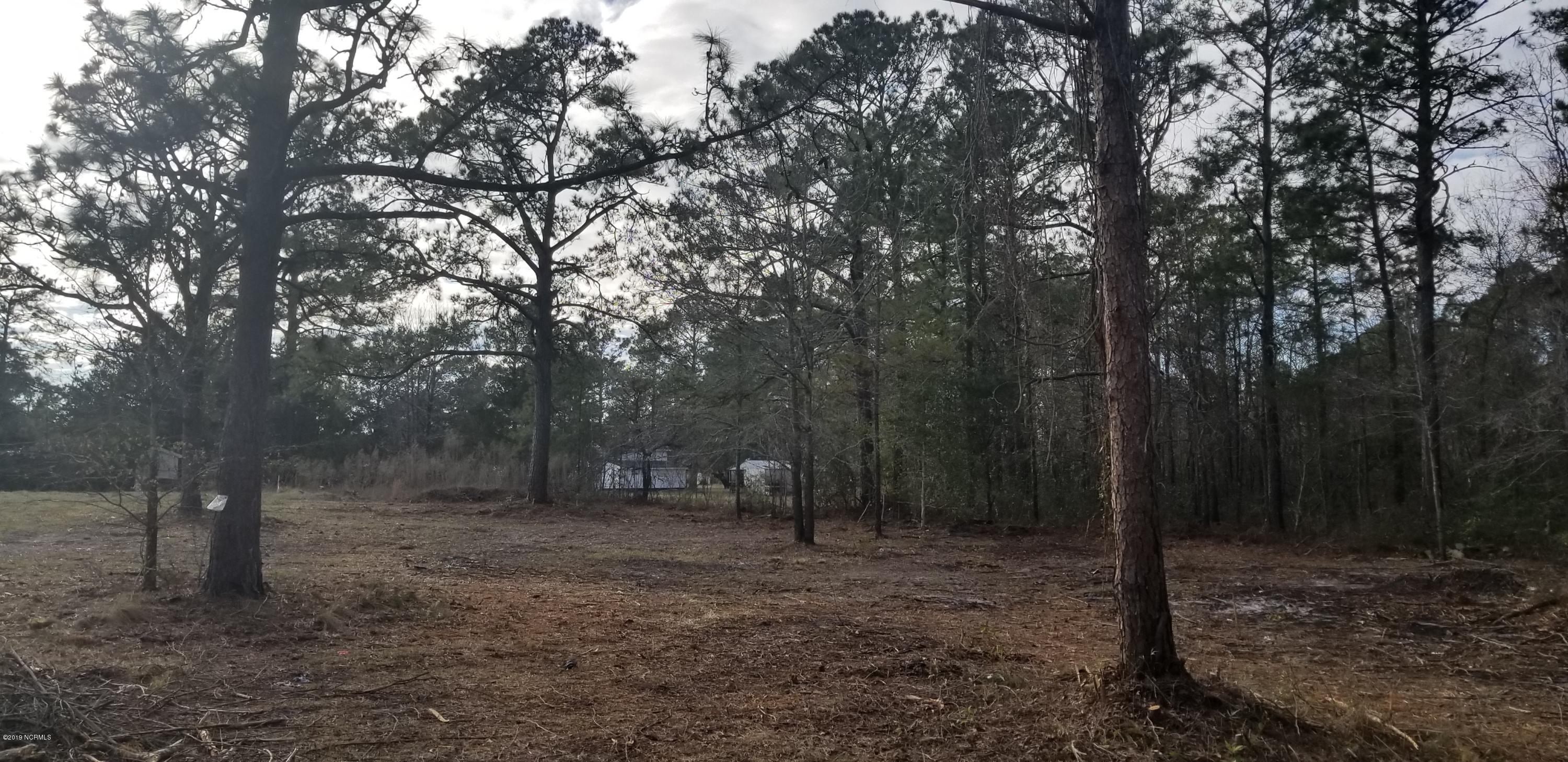 2 Colbert Lane Hampstead, NC 28443 - Photo 4 of 4 20190305_163007