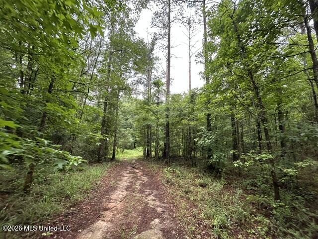 301 Freeman Road Southwest Summit, MS 39666 - Photo 15 of 43 IMG_4596