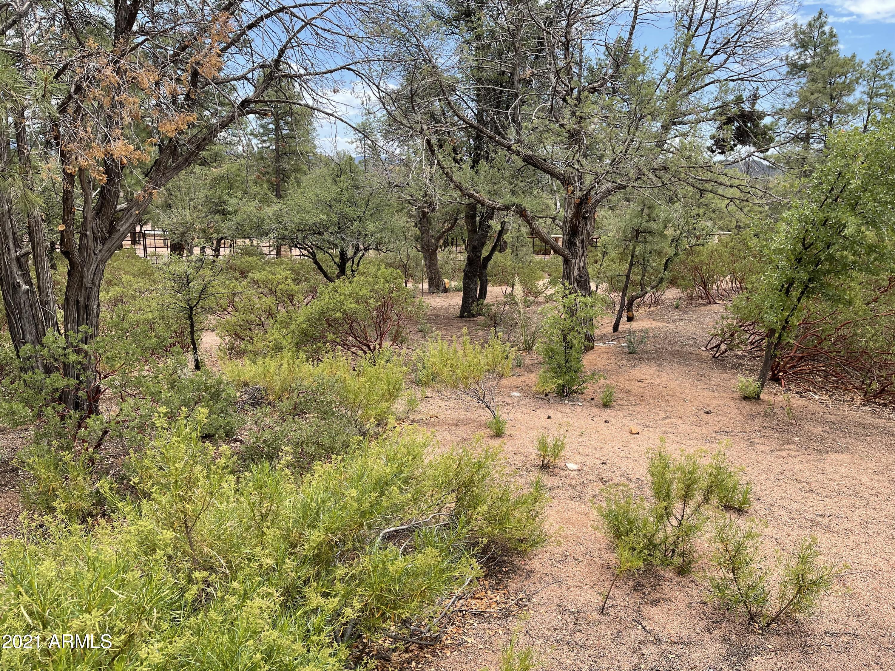603 Club Drive, Unit 3 Payson, AZ 85541 - Photo 4 of 25 a view of a yard with plants and trees