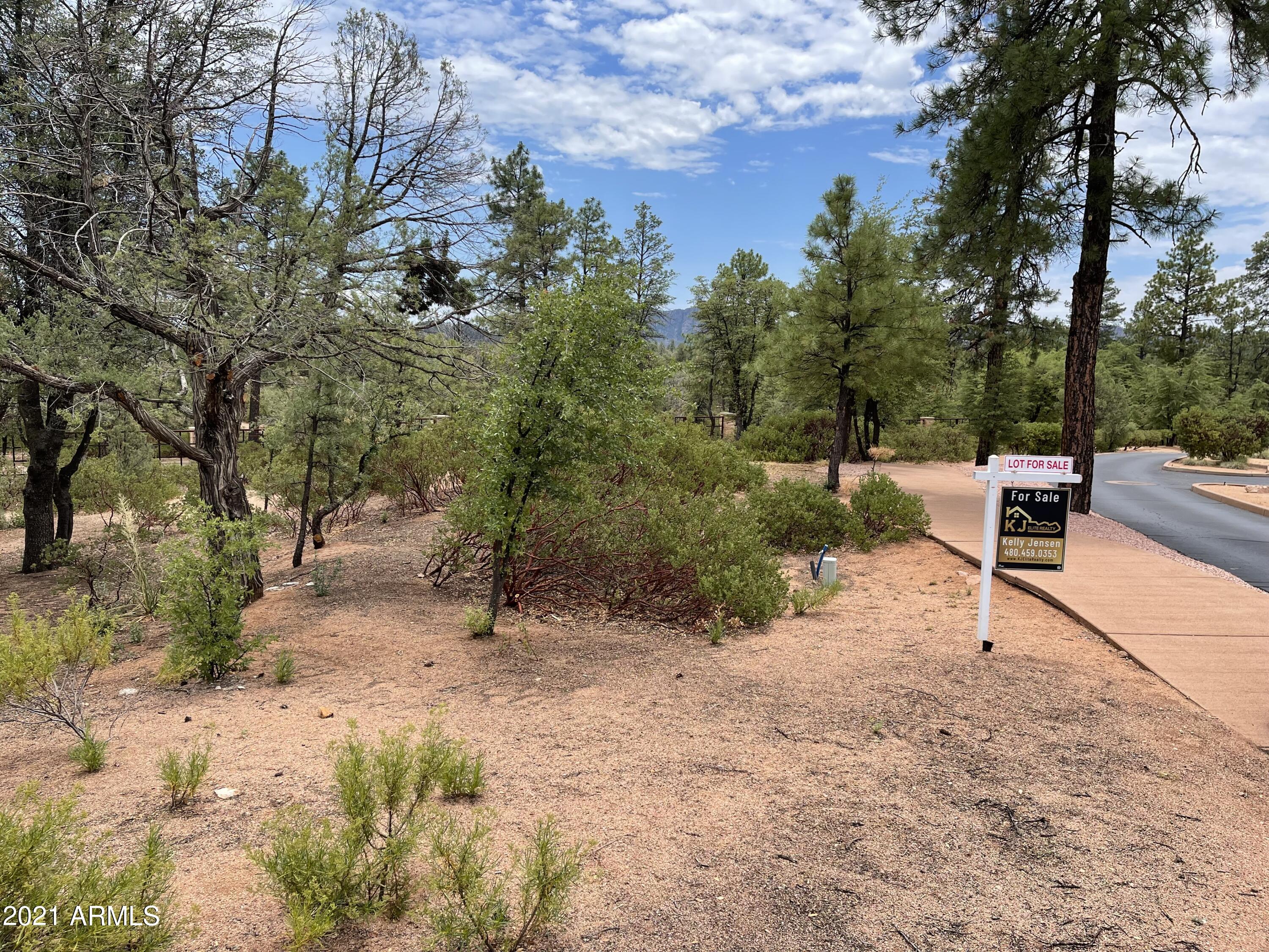 603 Club Drive, Unit 3 Payson, AZ 85541 - Photo 5 of 25 a view of outdoor space with trees