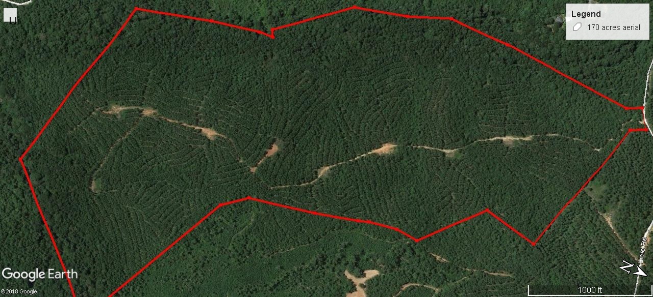 0 South Limo Road Elberton, GA 30635 - Photo 1 of 1