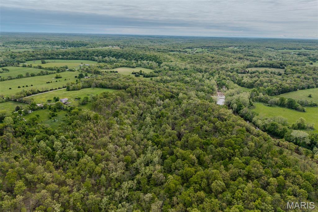 81 Indian Crk Loop Buffalo, MO 65622 - Photo 15 of 39