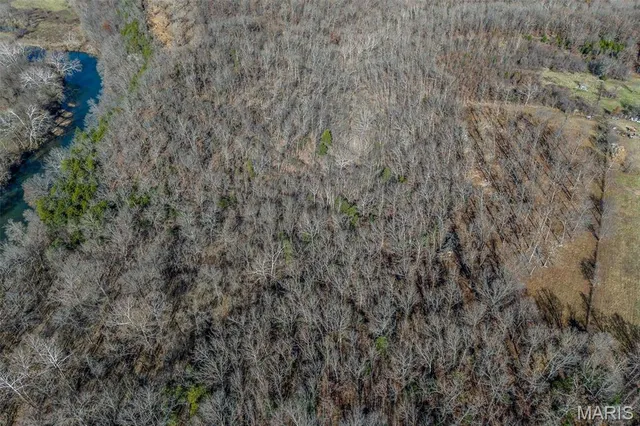 $120,000 | 81 Indian Crk Loop, Buffalo, MO 65622