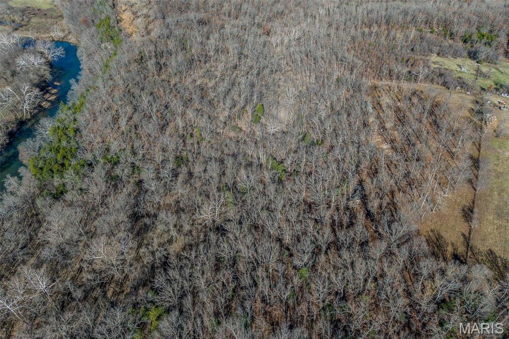 81 Indian Crk Loop Buffalo, MO 65622 - Photo 19 of 39