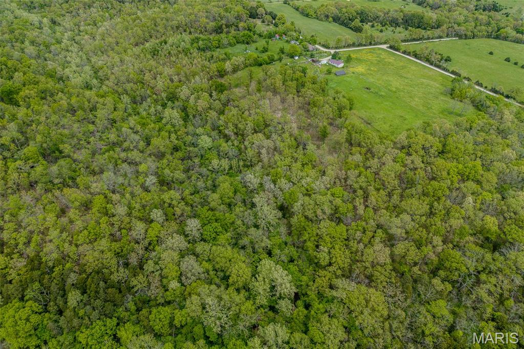 81 Indian Crk Loop Buffalo, MO 65622 - Photo 25 of 39